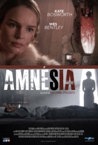 Amnesiac 1080p BluRay
