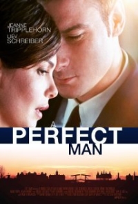 A Perfect Man HDRip DVDRip