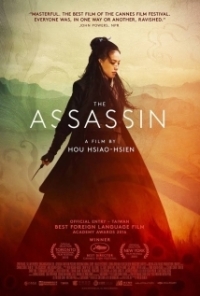 The Assassin (HDTV/1080p)