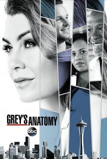 Legenda Grey's Anatomy S14E09