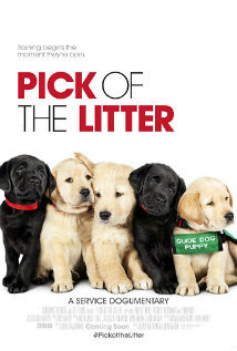 Pick of the Litter (WEB-DL)