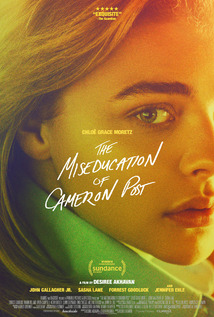 The Miseducation of Cameron Post (WEB-DL)