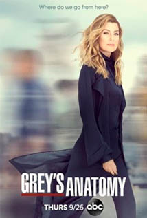 Legenda Grey's Anatomy S16E10