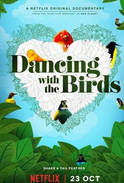 Dancing with the Birds (WEB-DL)